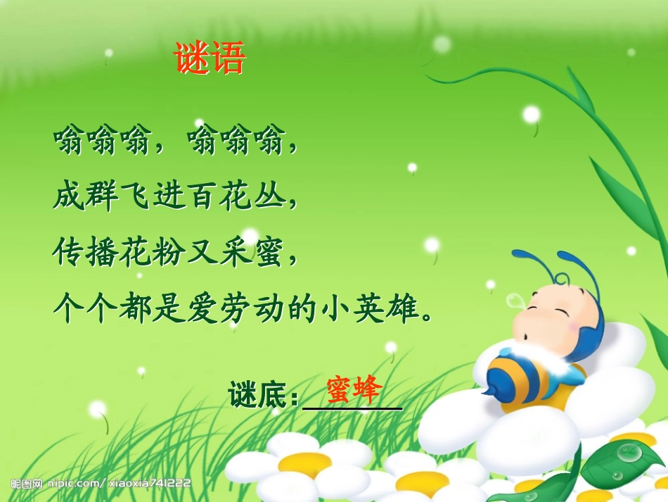 《蜜蜂引路》PPT课件[部编版二年级语文下册]_第2页