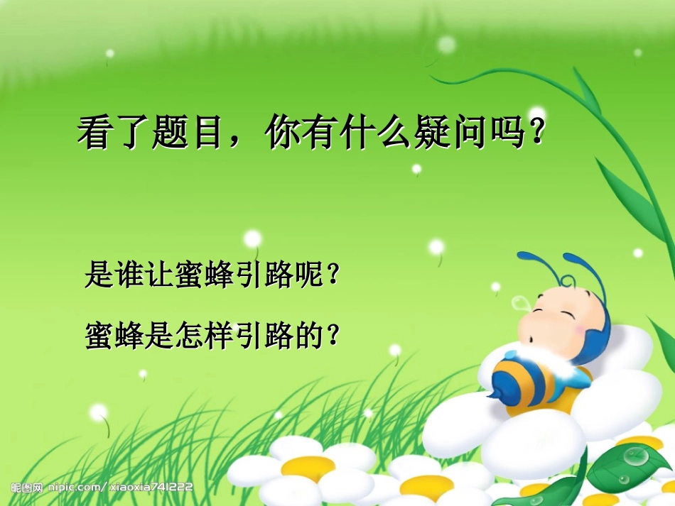 《蜜蜂引路》PPT课件[部编版二年级语文下册]_第3页