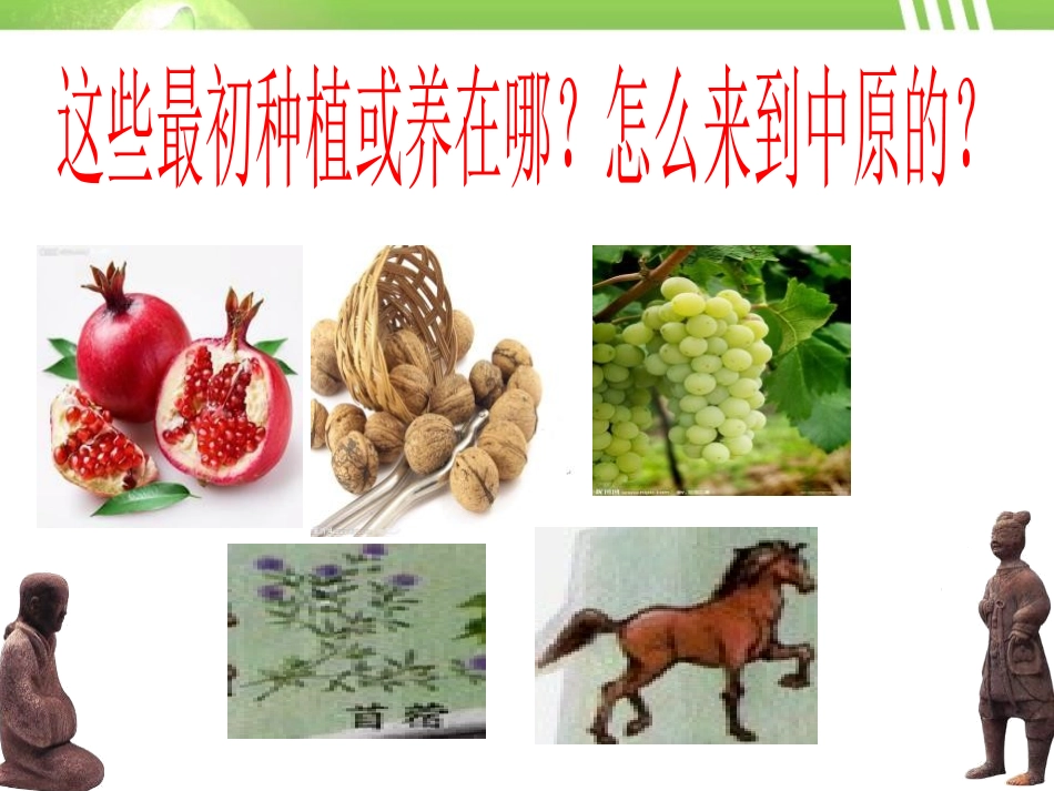 《汉朝的中外交流》秦汉时期PPT课件[华师大版七年级历史]_第2页