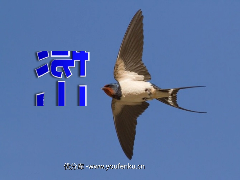 《燕子》PPT课件[部编版三年级语文下册]_第1页
