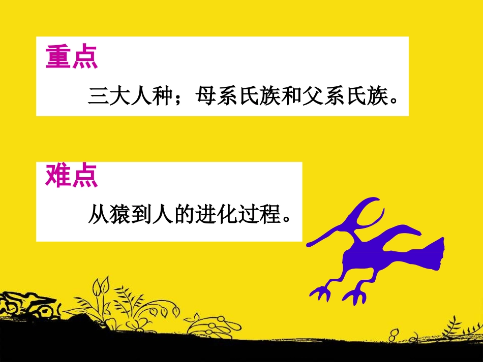 《史前时期的人类》人类起源与上古文明PPT课件_第3页