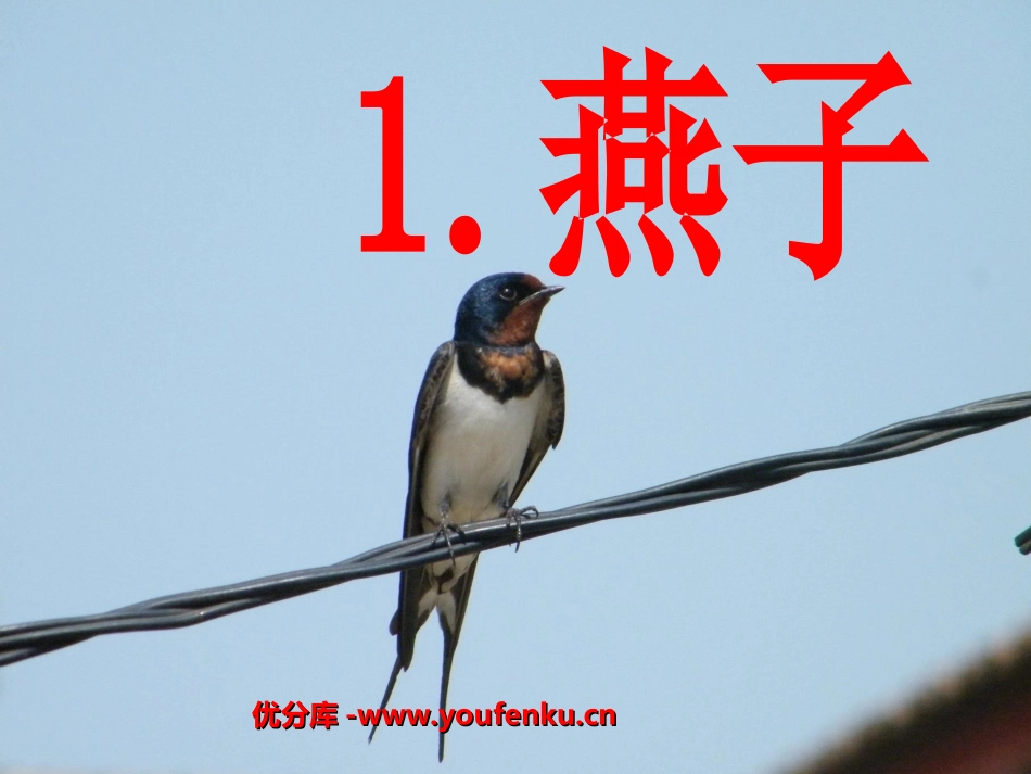 《燕子》PPT课件[部编版三年级语文下册]_第1页
