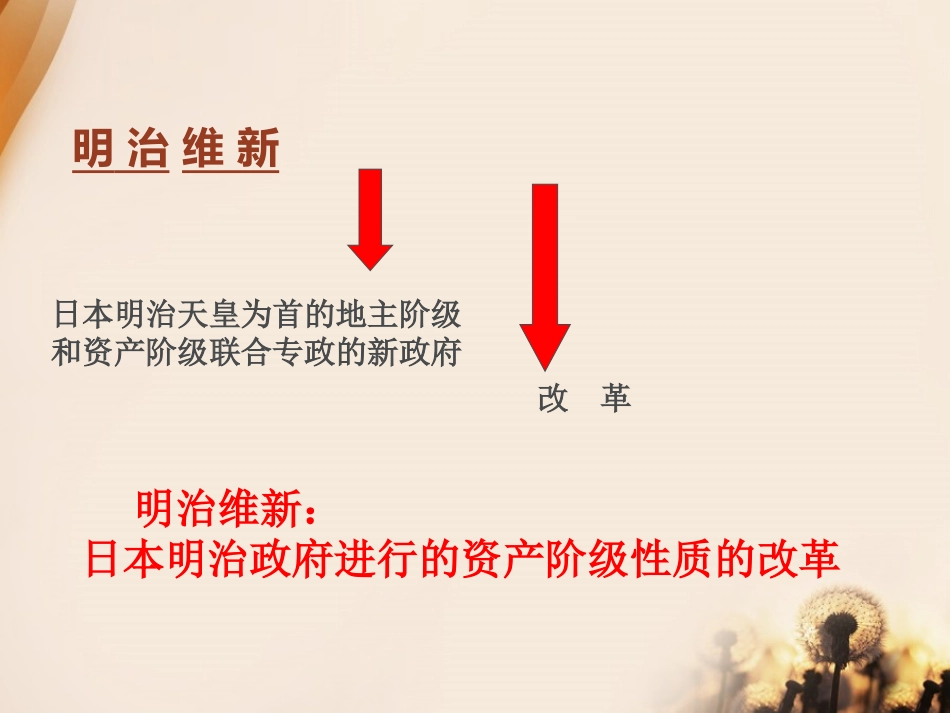 《日本明治维新》资产阶级统治的巩固与扩大PPT课件_第3页