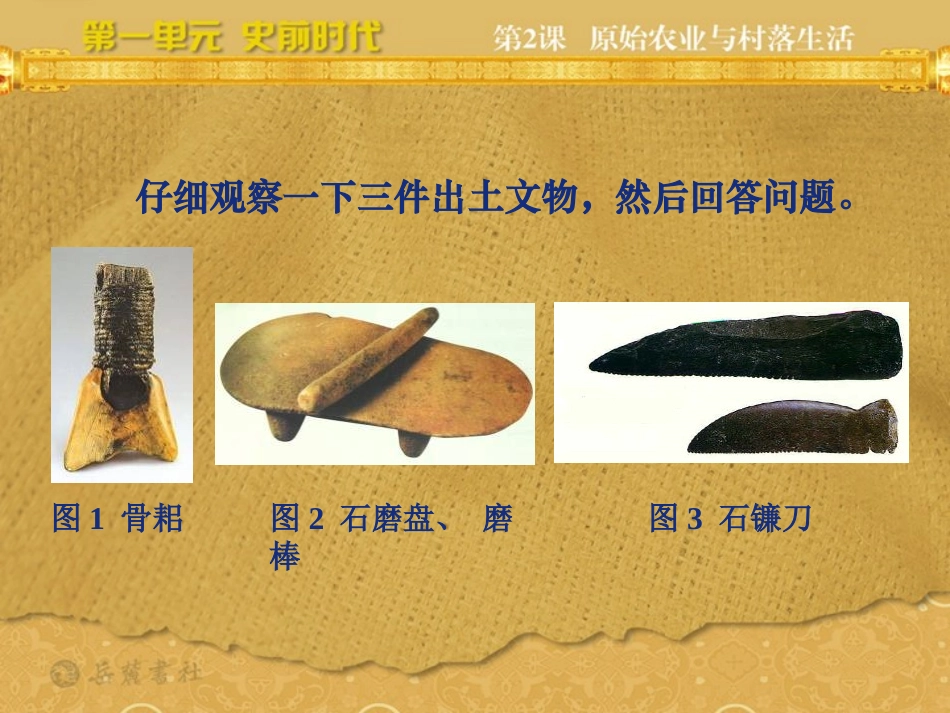 《原始农业与村落生活》史前时代PPT课件[岳麓版七年级历史]_第2页