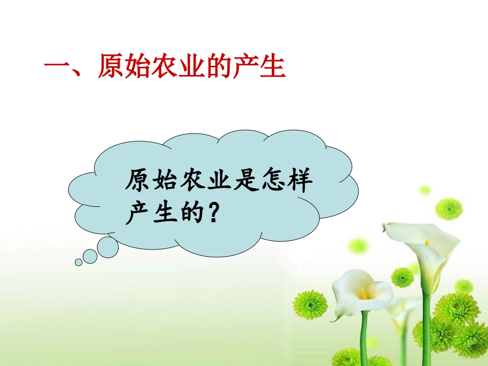 《原始农业与村落生活》史前时代PPT课件[岳麓版七年级历史]_第2页