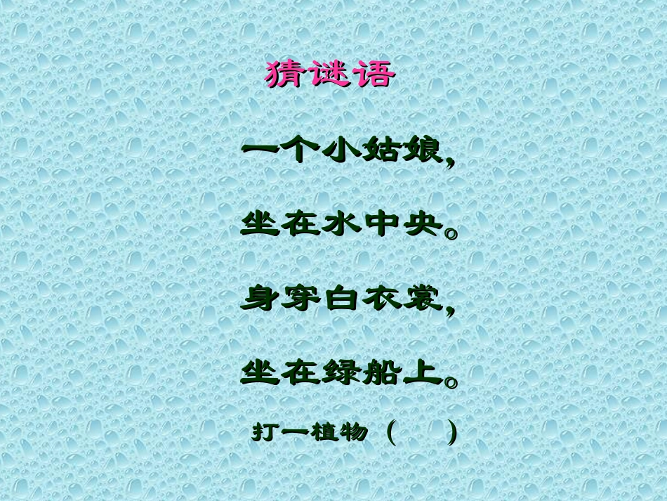 《荷花》PPT课件[部编版三年级语文下册]_第2页