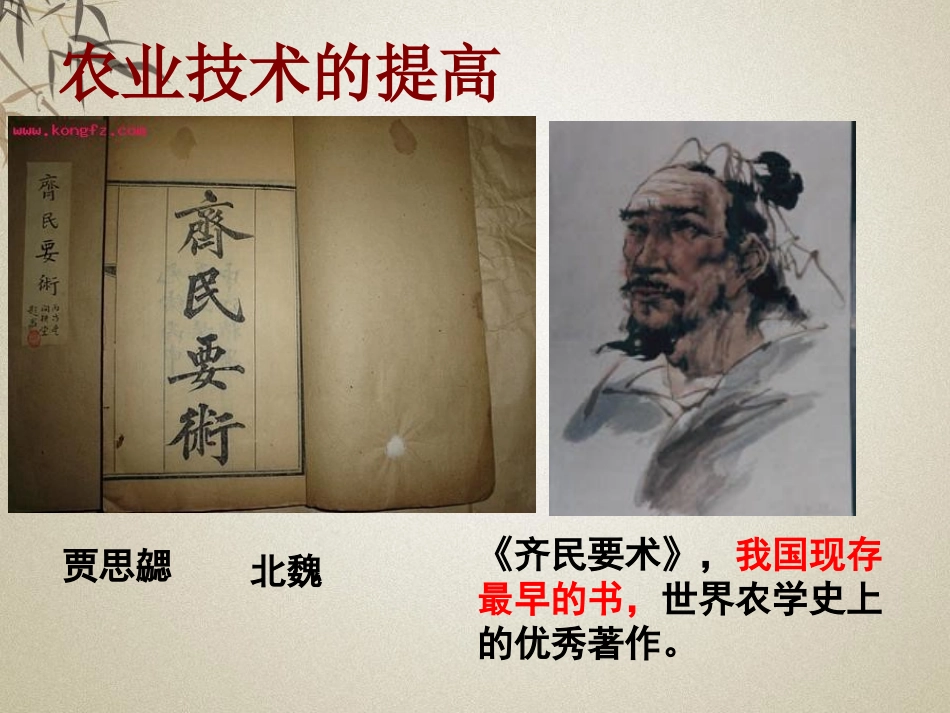 《科学技术与士人文化》魏晋南北朝的政权分立与区域开发PPT课件_第3页