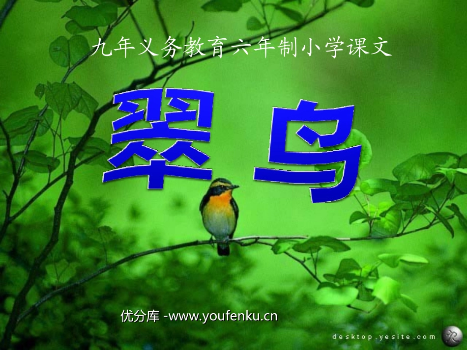 《翠鸟》PPT课件[部编版三年级语文下册]_第1页