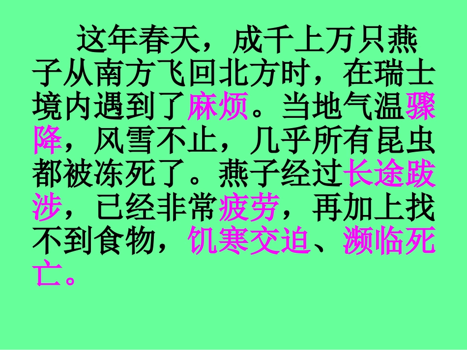 《燕子专列》PPT课件[部编版三年级语文下册]_第3页