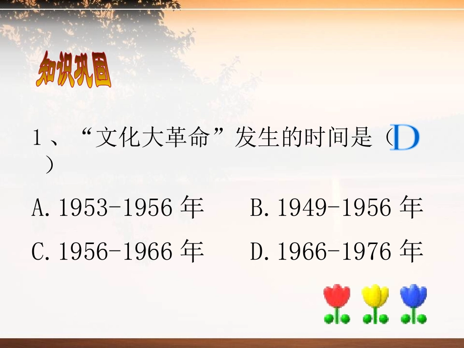 《伟大的历史转折》建设有中国特色社会主义PPT课件_第2页