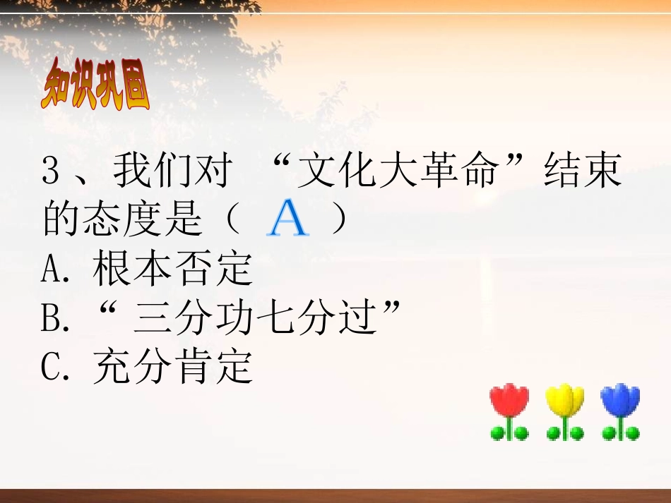 《伟大的历史转折》建设有中国特色社会主义PPT课件_第3页