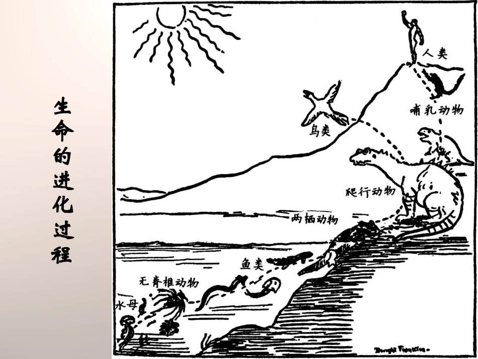 《史前时期的人类》世界古代史PPT课件[岳麓版九年级历史]_第3页