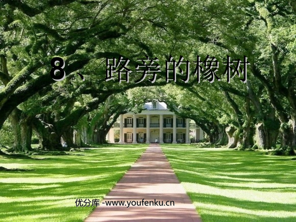 《路旁的橡树》PPT课件[部编版三年级语文下册]_第1页