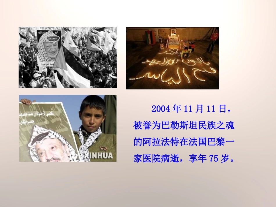 《中东地区的矛盾和冲突》亚非拉国家的独立和振兴PPT课件_第2页