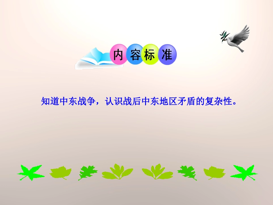 《中东地区的矛盾和冲突》亚非拉国家的独立和振兴PPT课件_第3页