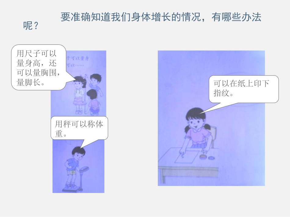 《我们在生长》生活中的食物PPT课件[鄂教版三年级科学上册]_第3页