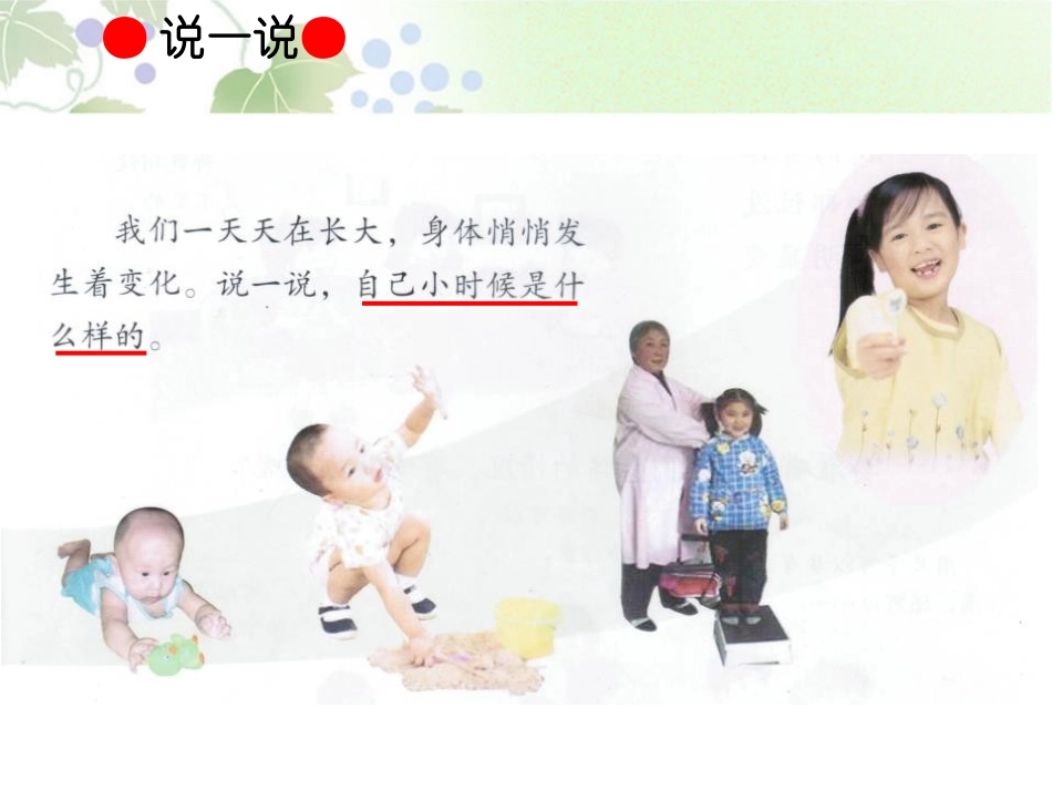 《我们在生长》生活中的食物PPT课件[鄂教版三年级科学上册]_第2页