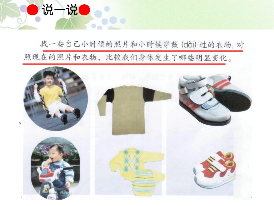 《我们在生长》生活中的食物PPT课件[鄂教版三年级科学上册]_第3页