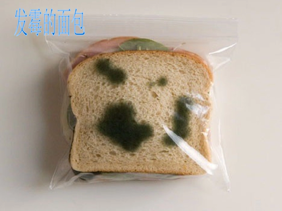 《食物的变质》生活中的食物PPT课件[鄂教版三年级科学上册]_第2页