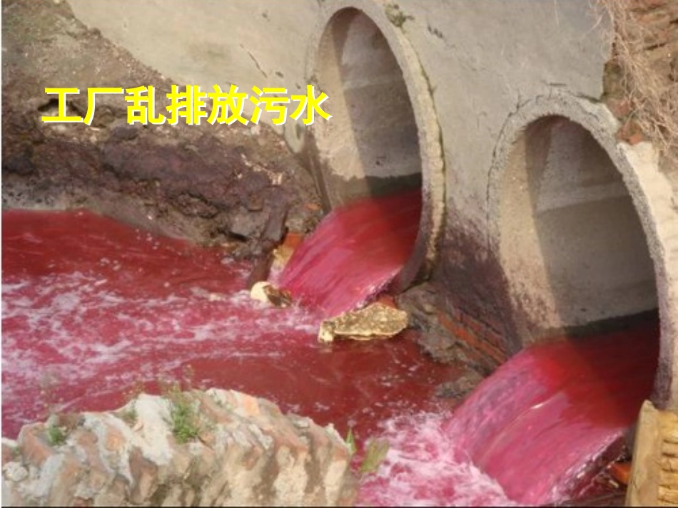 《怎样使水变清》饮用水PPT课件[鄂教版三年级科学上册]_第3页