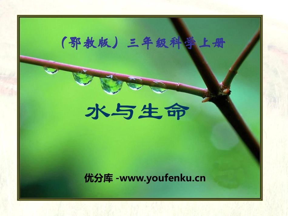 《水与生命》饮用水PPT课件[鄂教版三年级科学上册]_第1页