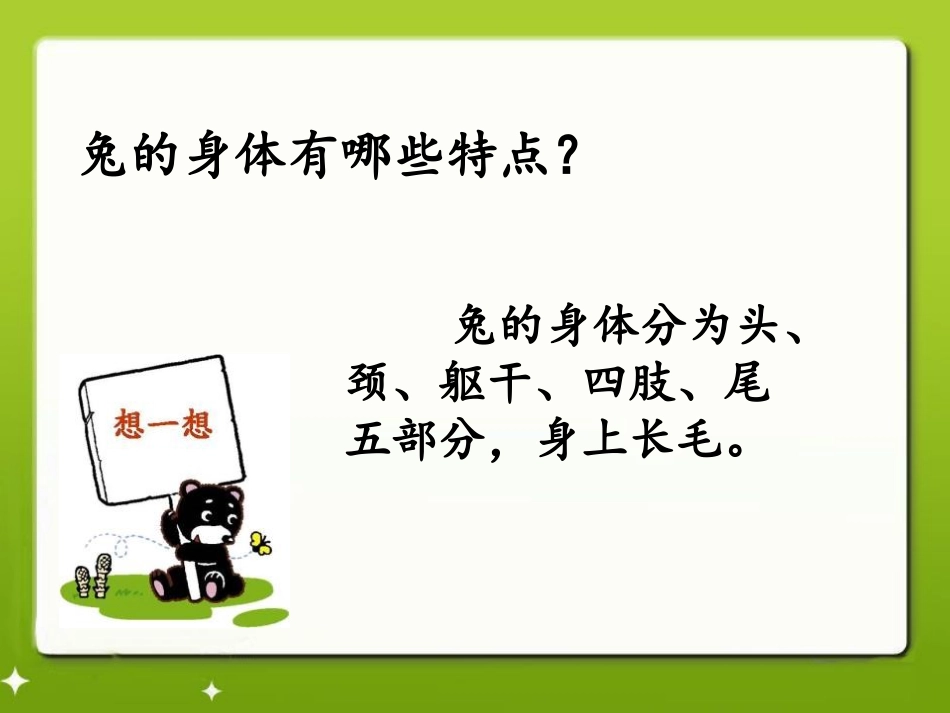 《兔与猫》家养小动物PPT课件[鄂教版三年级科学上册]_第3页