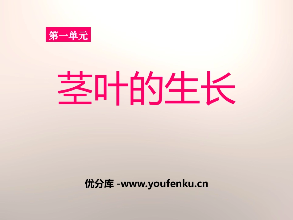 《茎叶的生长》PPT课件[鄂教版三年级科学下册]_第1页