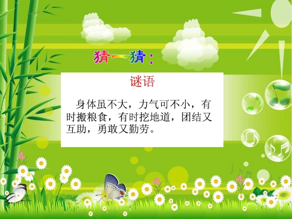 《观察蚂蚁》寻访校园里的动植物PPT课件[鄂教版四年级科学]_第3页