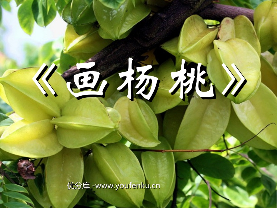 《画杨桃》PPT课件[部编版三年级语文下册]_第1页