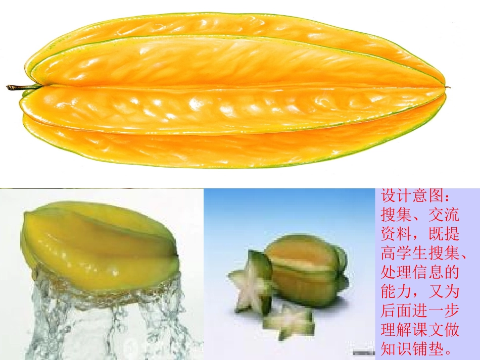 《画杨桃》PPT课件[部编版三年级语文下册]_第3页
