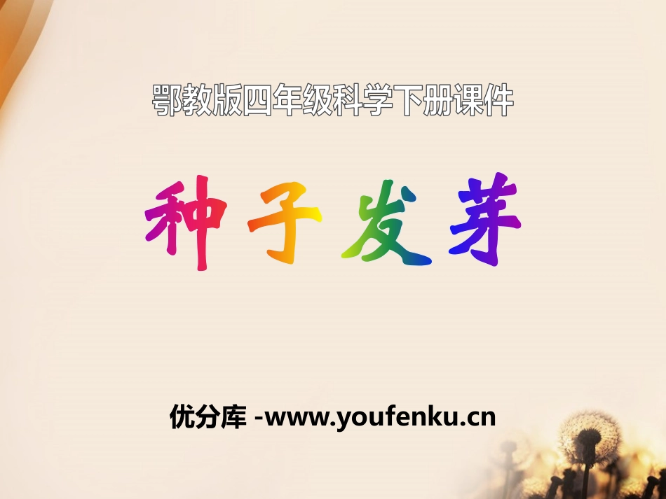 《种子发芽》PPT课件[鄂教版四年级科学下册]_第1页