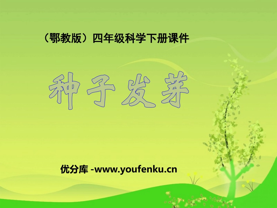 《种子发芽》PPT课件[鄂教版四年级科学下册]_第1页