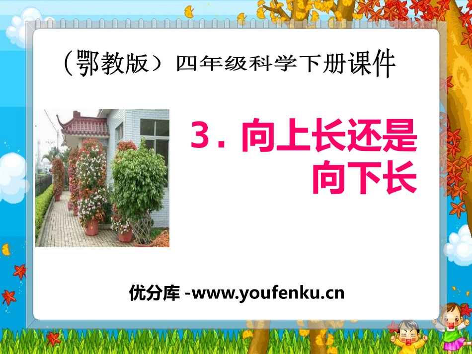 《向上长还是向下长》PPT课件[鄂教版四年级科学下册]_第1页