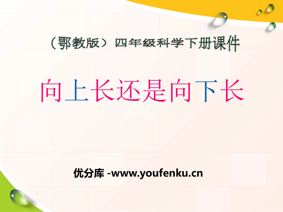 《向上长还是向下长》PPT课件[鄂教版四年级科学下册]_第1页