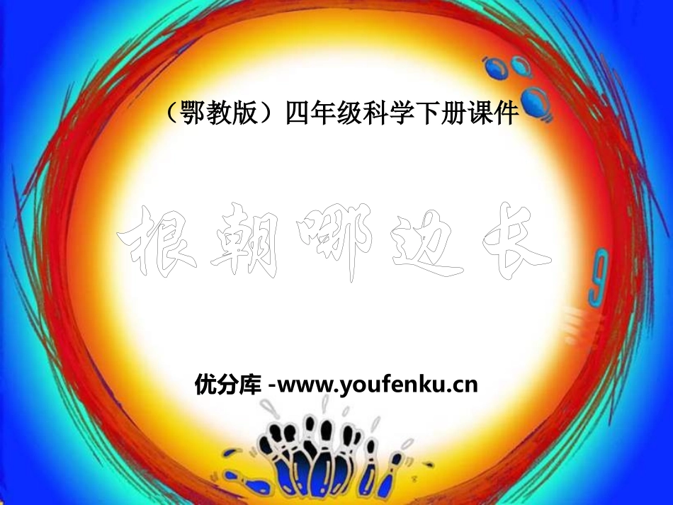 《根朝哪边长》PPT课件[鄂教版四年级科学下册]_第1页
