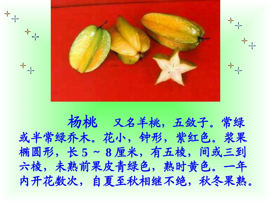 《画杨桃》PPT课件[部编版三年级语文下册]_第2页
