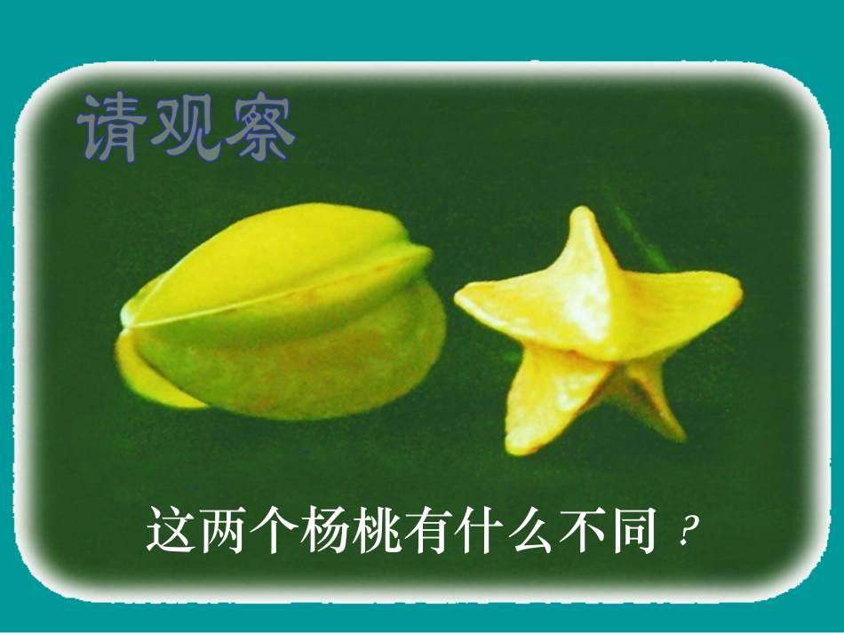 《画杨桃》PPT课件[部编版三年级语文下册]_第2页