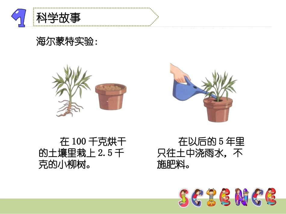 《林中的树》走进树林PPT课件[鄂教版五年级科学上册]_第3页