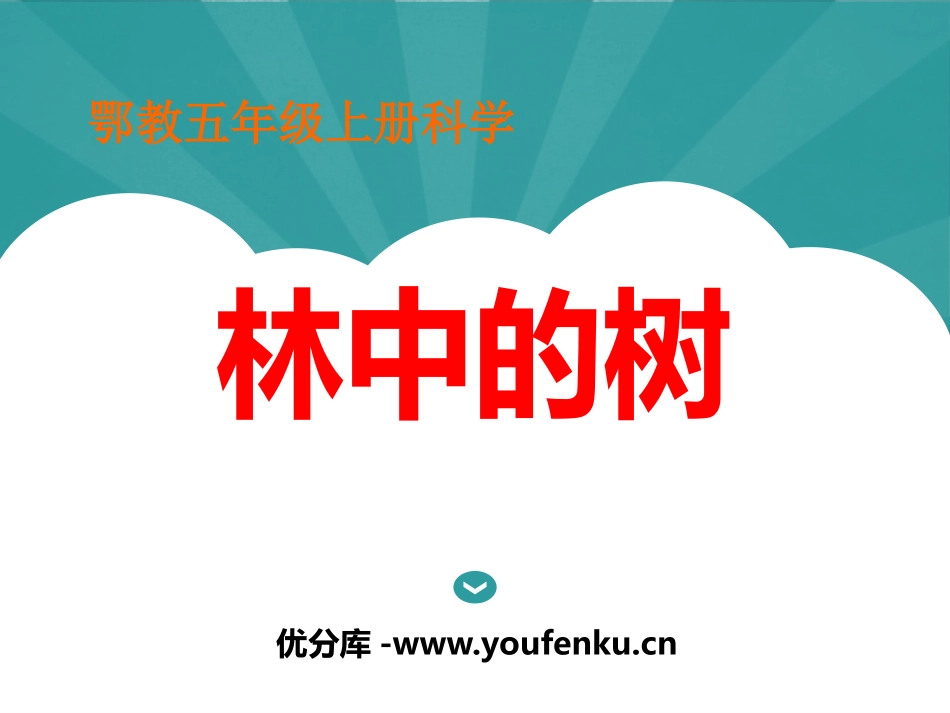 《林中的树》走进树林PPT课件[鄂教版五年级科学上册]_第1页