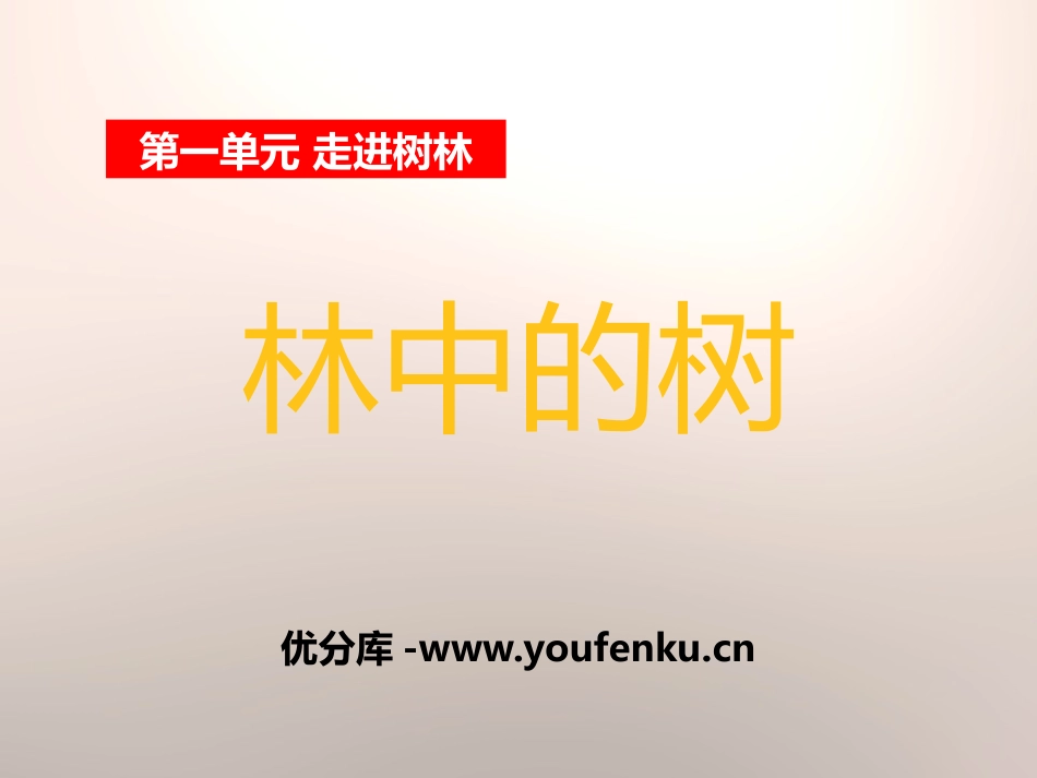 《林中的树》走进树林PPT课件[鄂教版五年级科学上册]_第1页