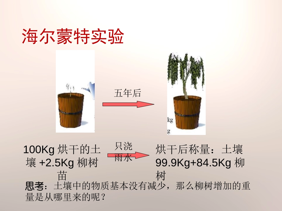 《林中的树》走进树林PPT课件[鄂教版五年级科学上册]_第2页
