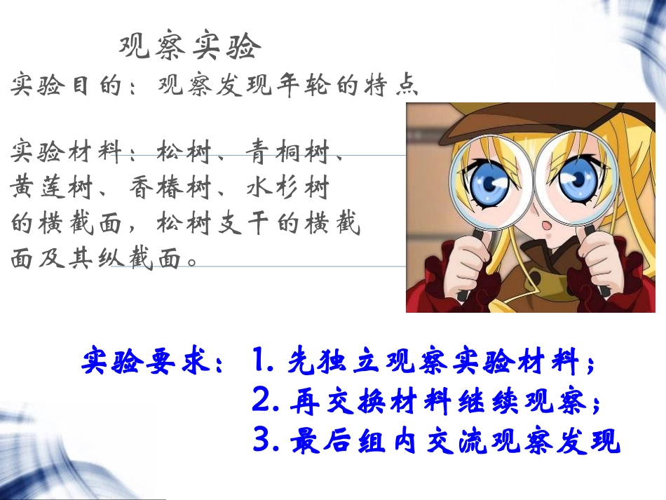 《树木中的纹路》走进树林PPT课件[鄂教版五年级科学上册]_第3页