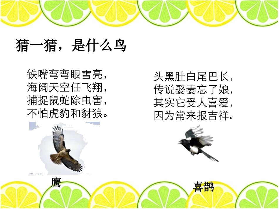 《林中的鸟》走进树林PPT课件[鄂教版五年级科学上册]_第1页