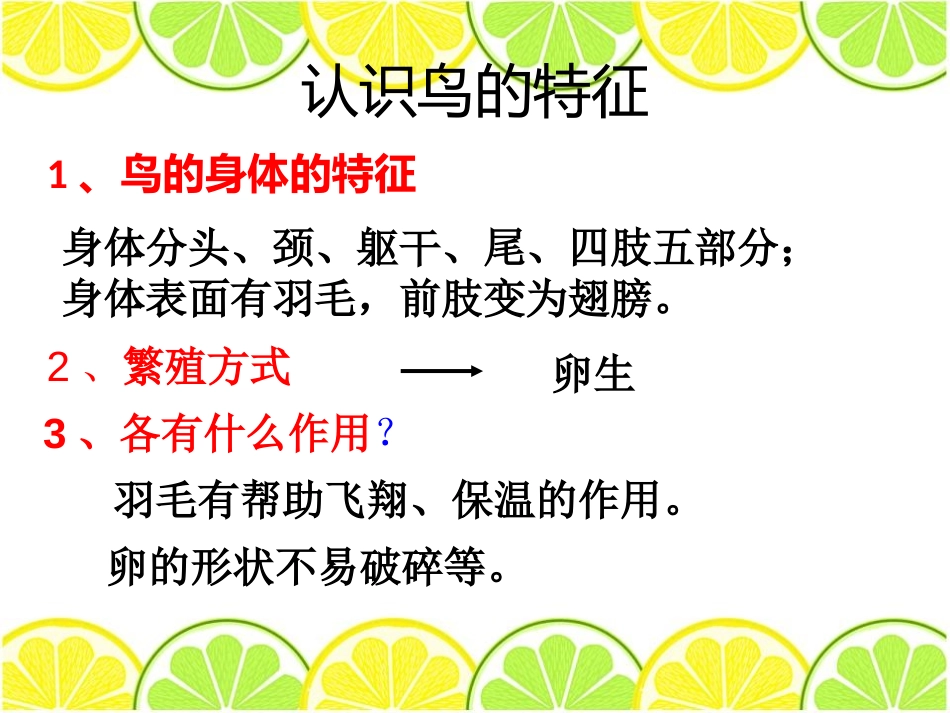 《林中的鸟》走进树林PPT课件[鄂教版五年级科学上册]_第3页