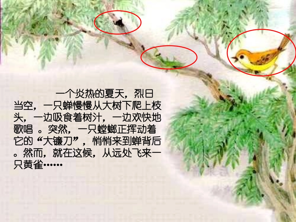 《谁吃谁》走进树林PPT课件[鄂教版五年级科学上册]_第3页