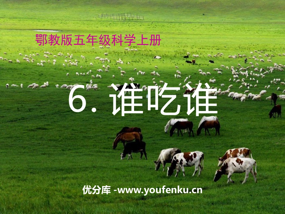 《谁吃谁》走进树林PPT课件[鄂教版五年级科学上册]_第1页