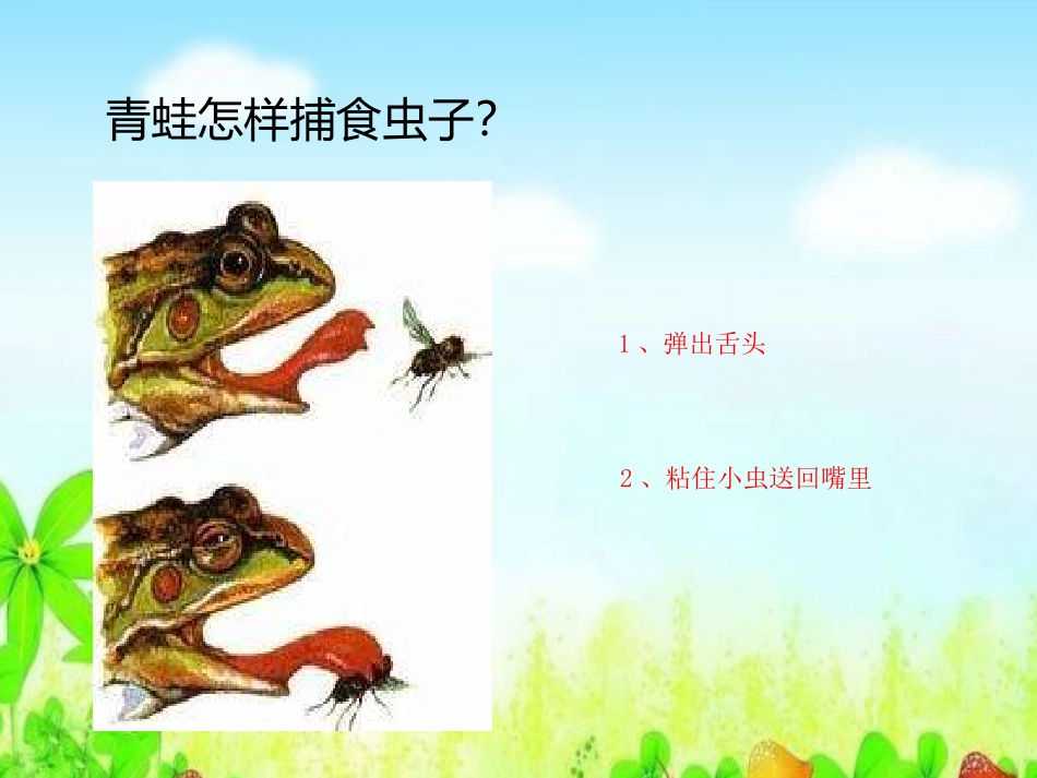 《蛙》池塘群落PPT课件[鄂教版五年级科学上册]_第3页