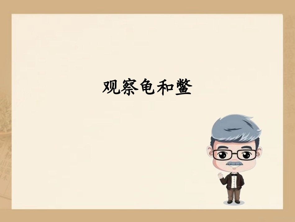 《龟和鳖》池塘群落PPT课件[鄂教版五年级科学上册]_第2页