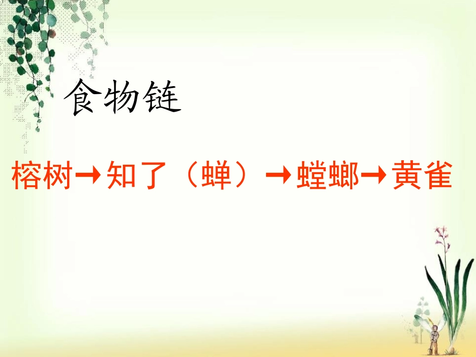 《池塘生物的相互联系》池塘群落PPT课件[鄂教版五年级科学]_第2页