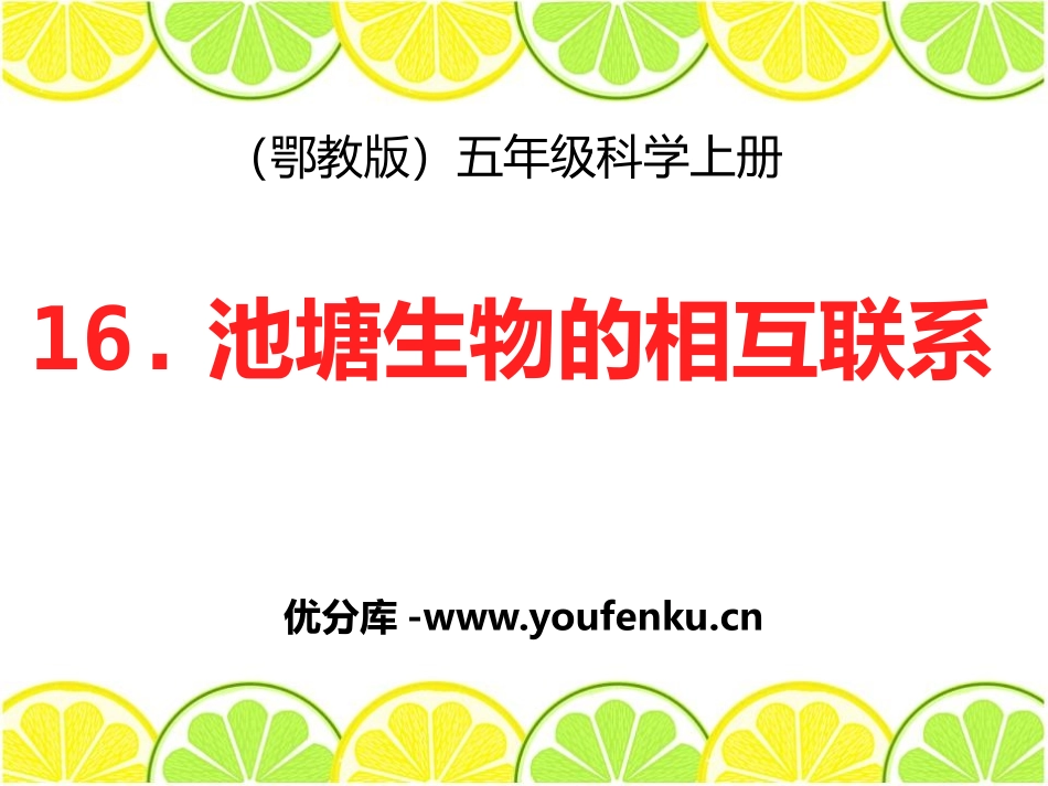 《池塘生物的相互联系》池塘群落PPT课件[鄂教版五年级科学]_第1页